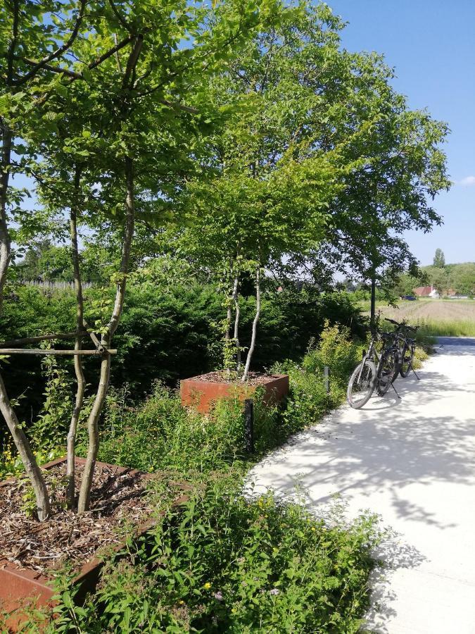 漂移沙丘住宿加早餐旅馆 韦特伦 外观 照片